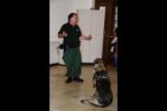 Seiner feinen Nase entgeht nichts: Rauschgiftspürhund "Basco" findet kleinste versteckte Drogenmengen und sorgt in der JVA Nürnberg für Sicherheit (Tag der offenen Tür in Nürnberg, 22. Mai 2014)